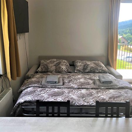 Apartman U Lomu Dolni Morava Bagian luar foto