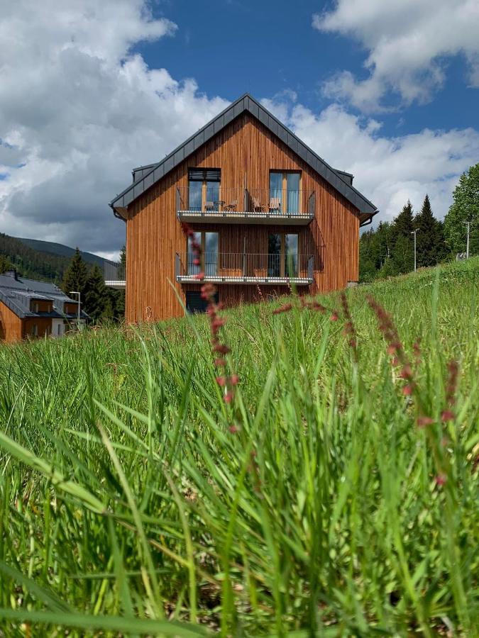 Apartman U Lomu Dolni Morava Bagian luar foto