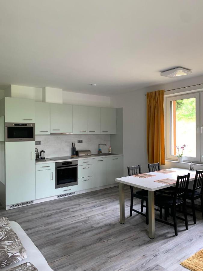 Apartman U Lomu Dolni Morava Bagian luar foto