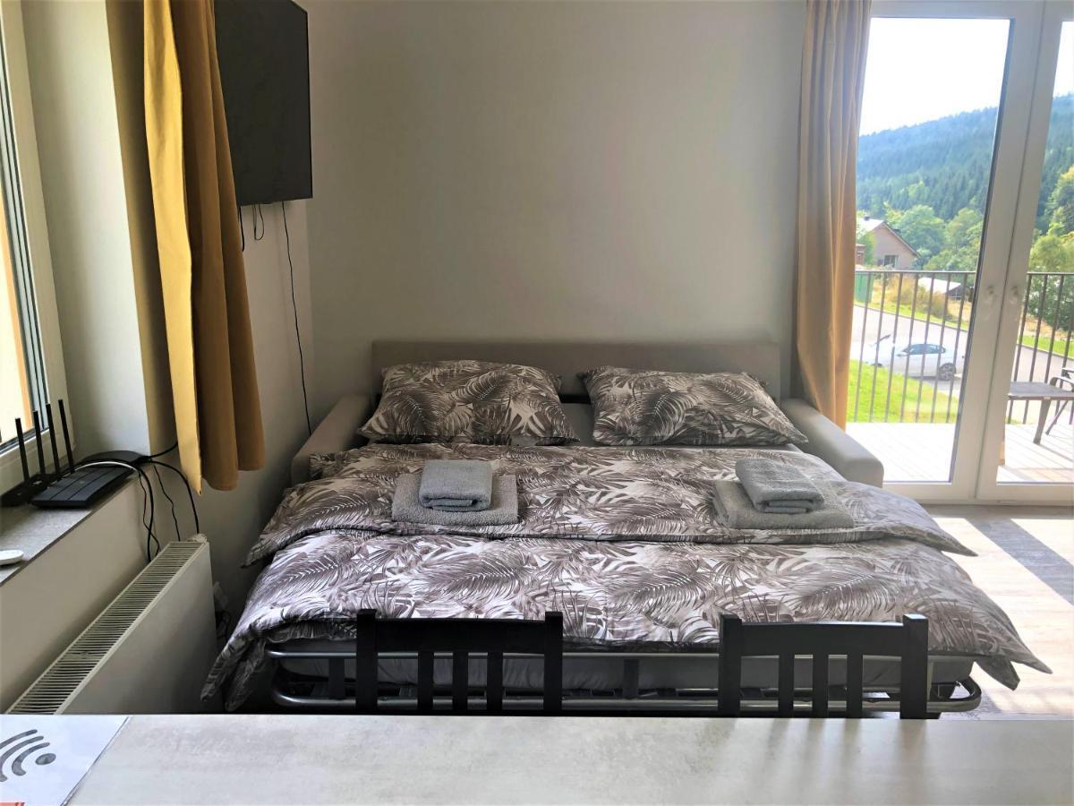 Apartman U Lomu Dolni Morava Bagian luar foto