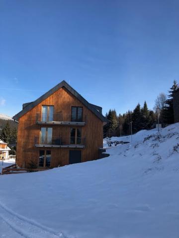 Apartman U Lomu Dolni Morava Bagian luar foto
